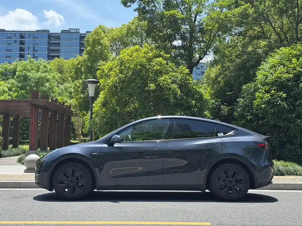 Tesla Model Y — фото 9