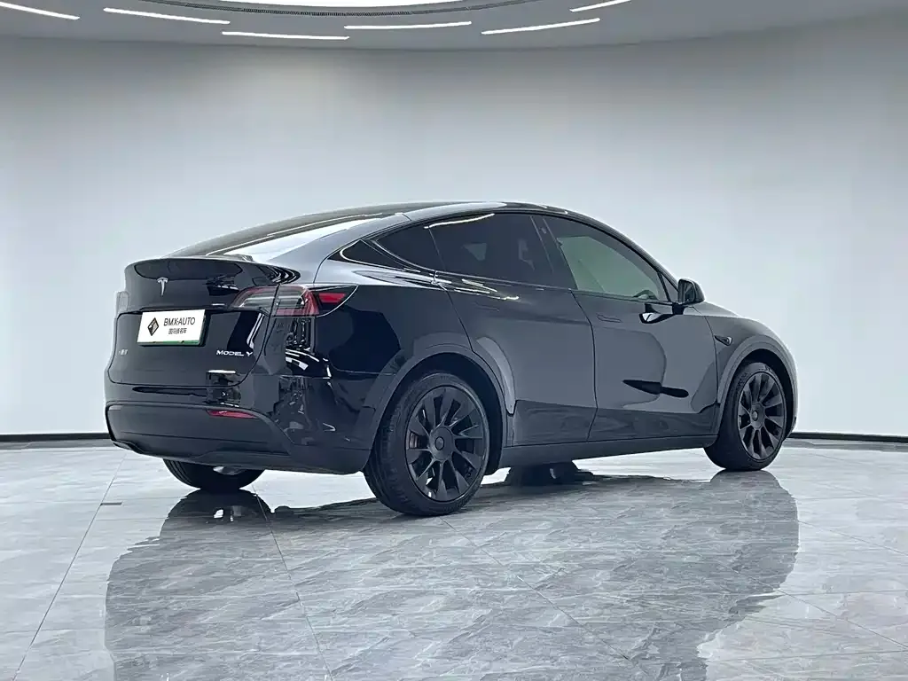 Tesla Model Y — фото 8