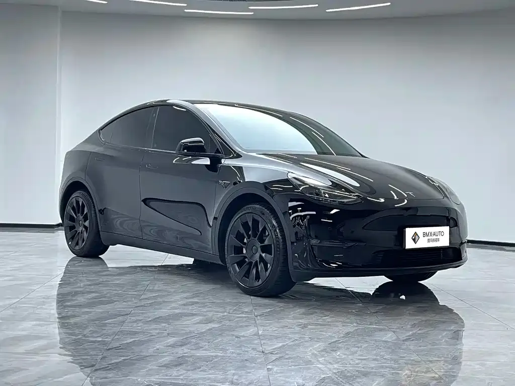 Tesla Model Y — фото 6