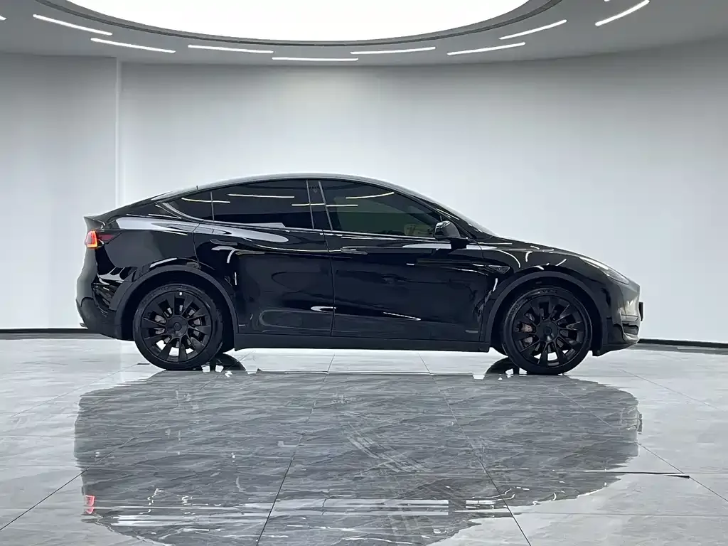 Tesla Model Y — фото 10