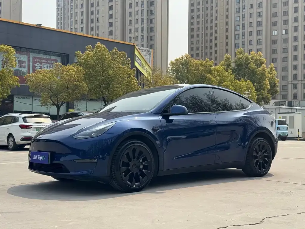 Tesla Model Y — фото 1