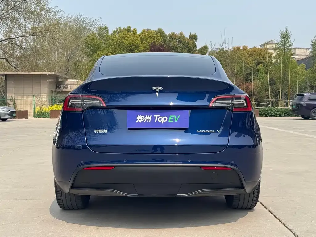 Tesla Model Y — фото 9