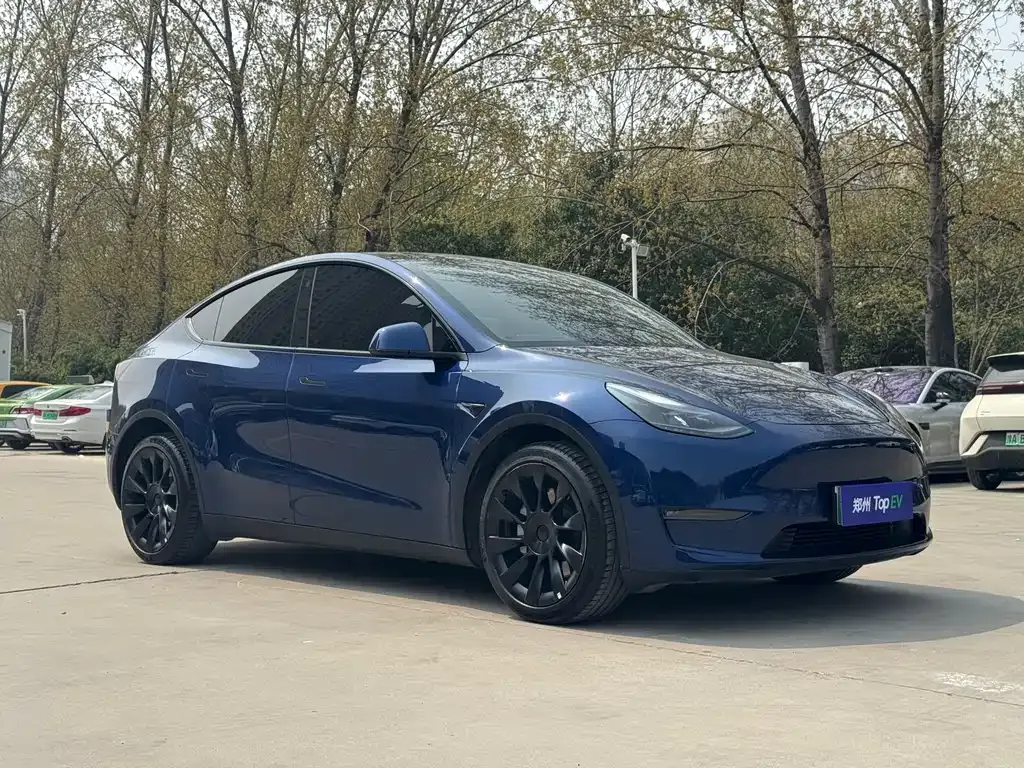 Tesla Model Y — фото 7