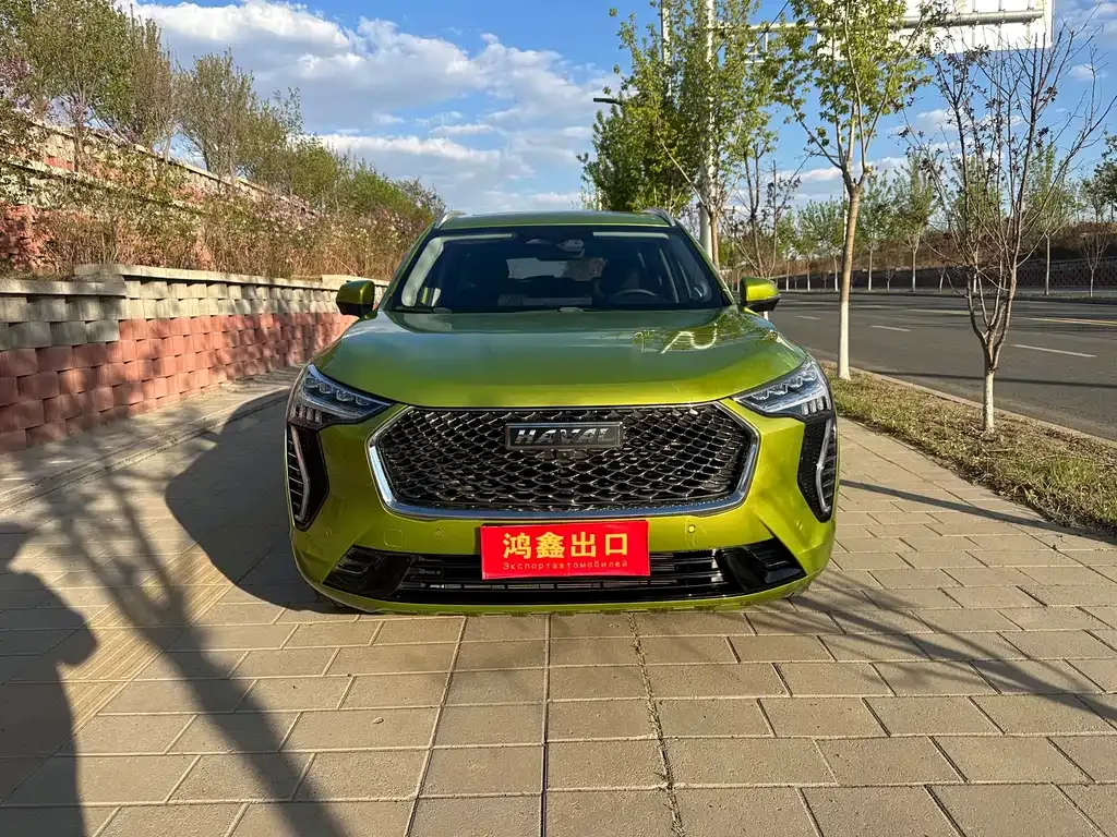 Haval Chulian 2021 из CN, фото 10