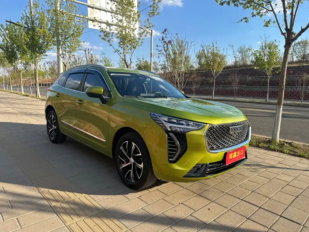 Haval Chulian 2021 из CN, фото 9
