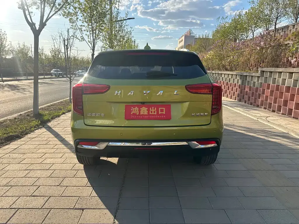 Haval Chulian 2021 из CN, фото 8