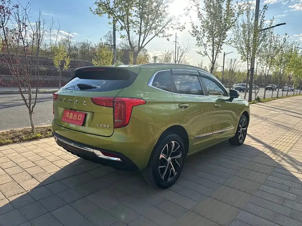 Haval Chulian 2021 из CN, фото 6