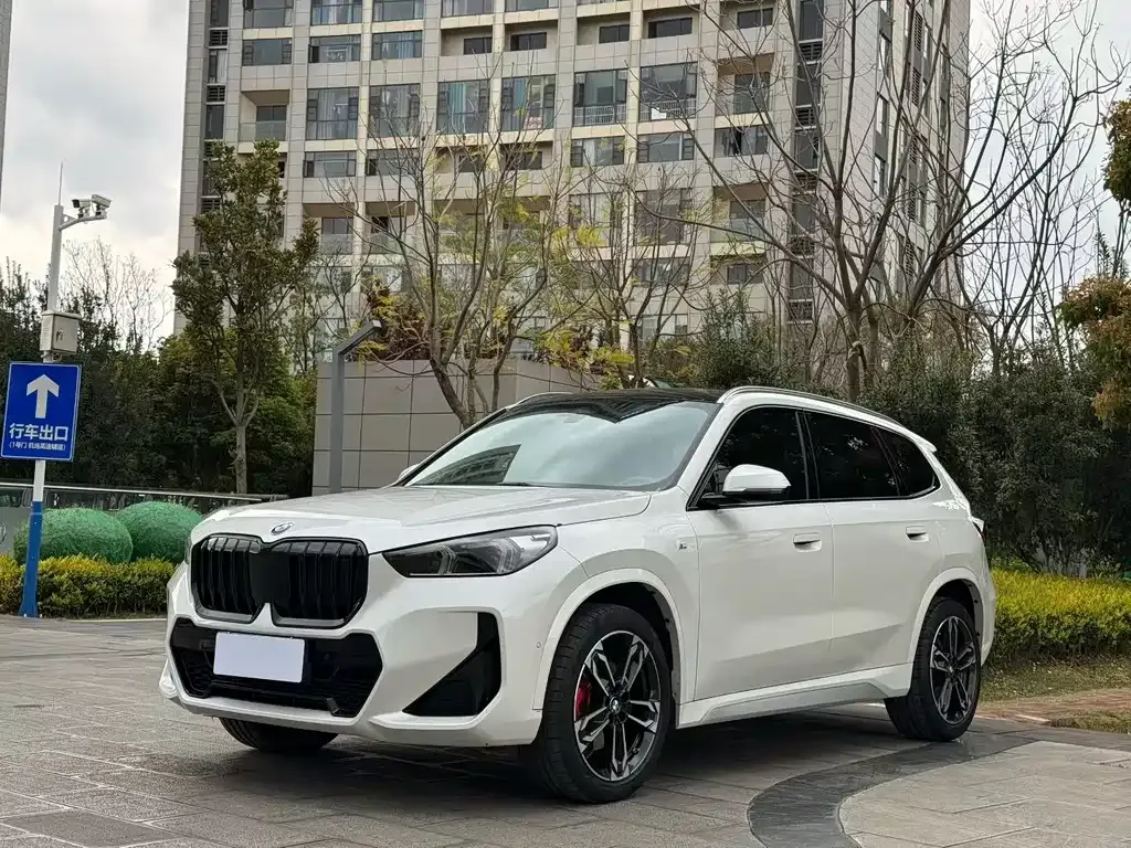 BMW X1 — фото 1
