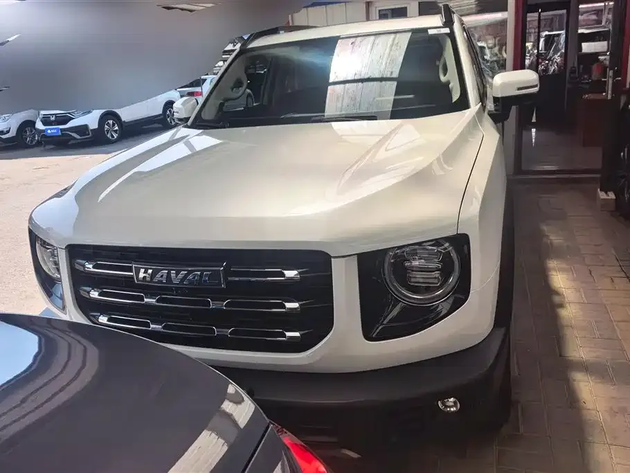 Haval Big Dog — фото 10