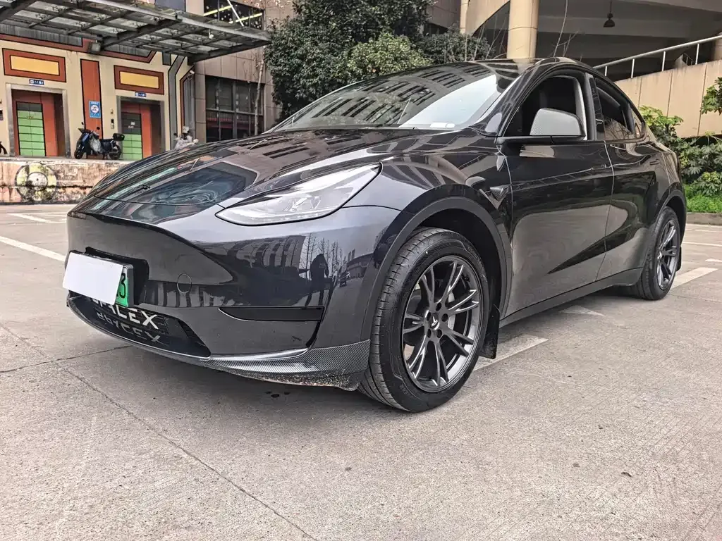 Tesla Model Y — фото 1