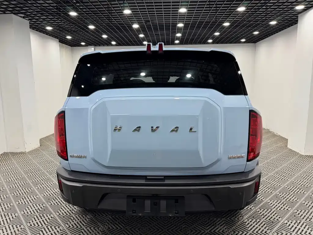 Haval Cool Dog — фото 6