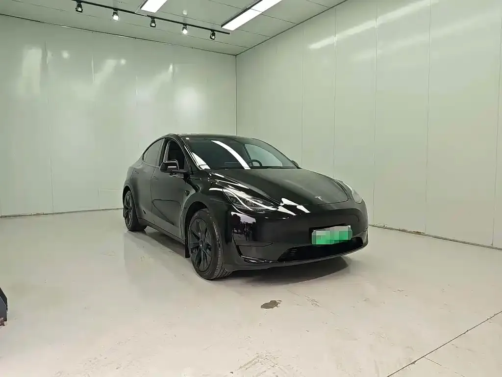 Tesla Model Y — фото 5