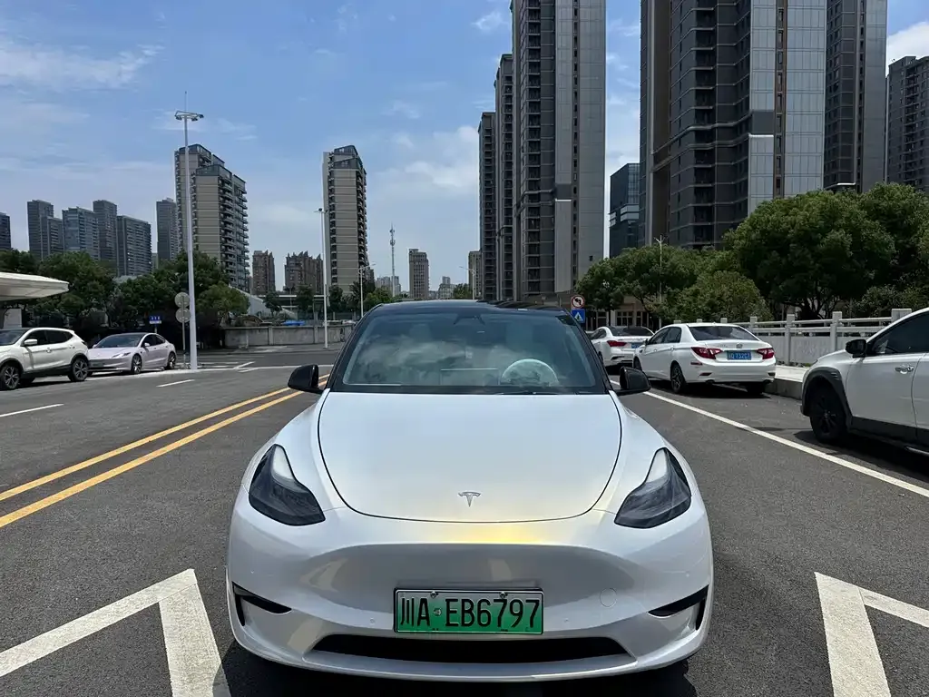 Tesla Model Y — фото 6