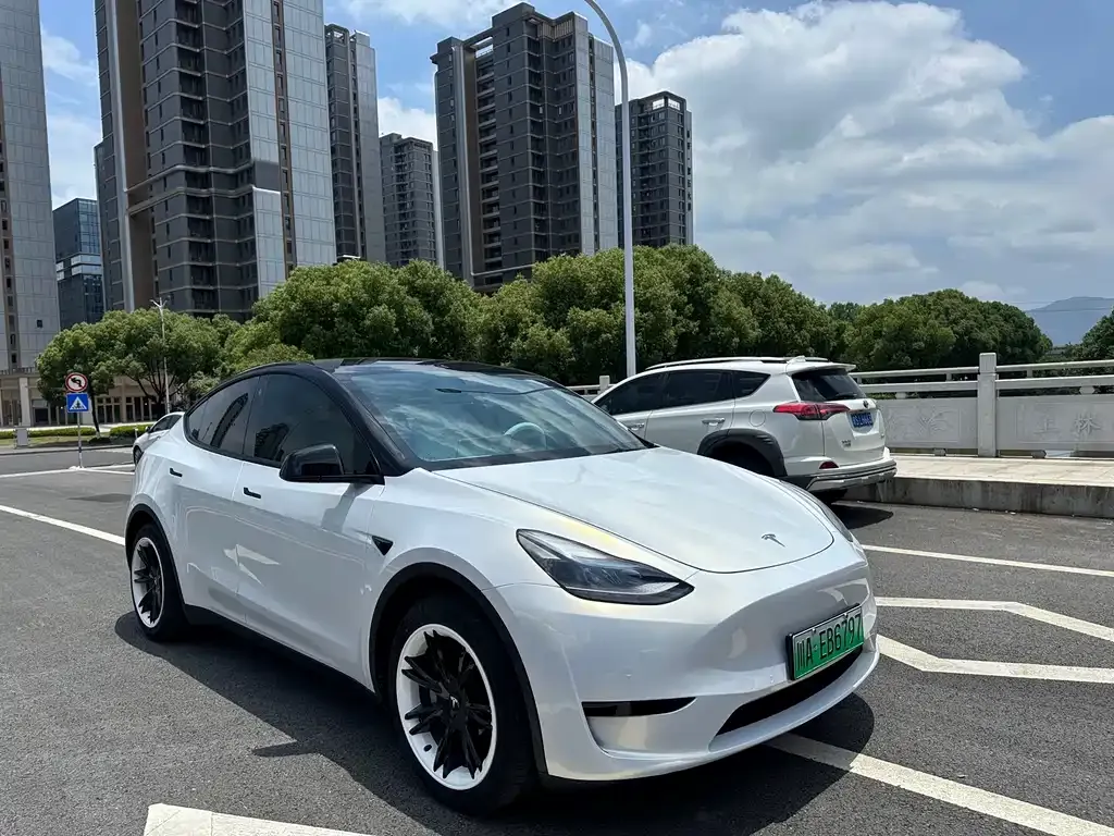 Tesla Model Y — фото 8