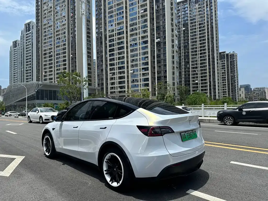 Tesla Model Y — фото 5