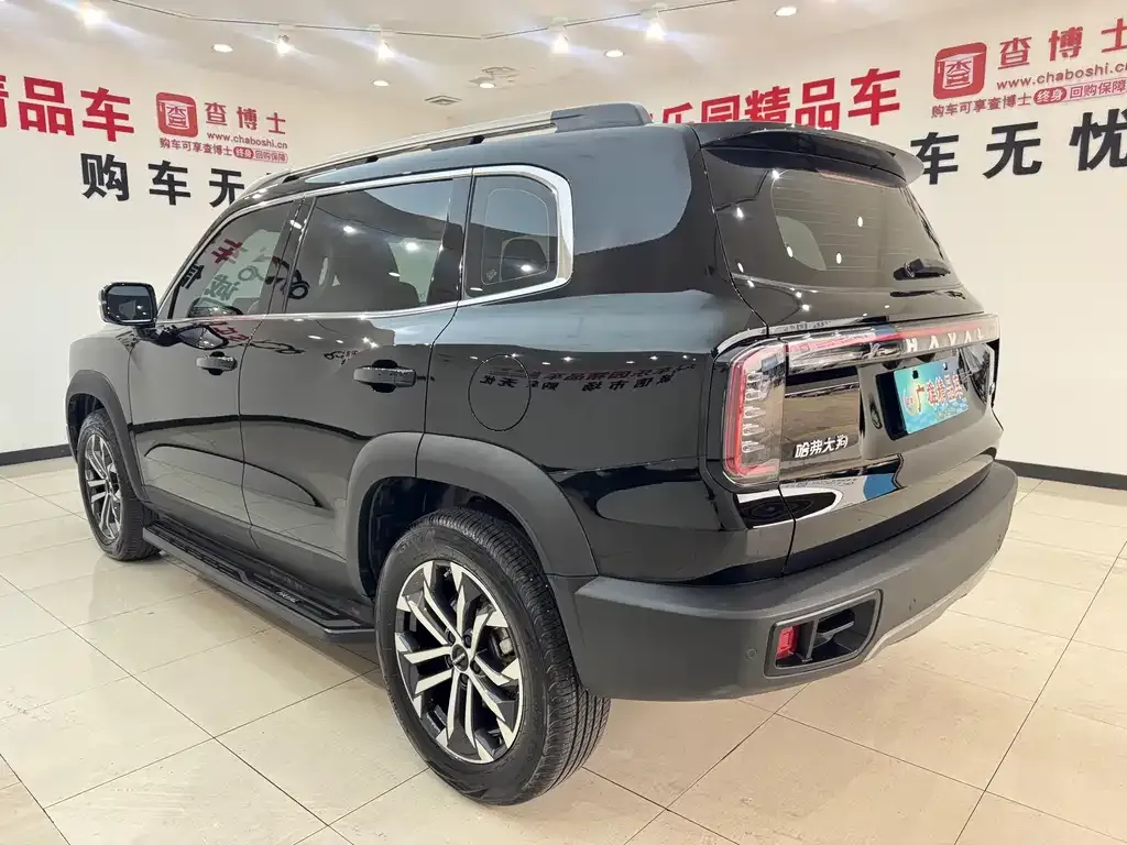 Haval Big Dog 2024 из CN, фото 5