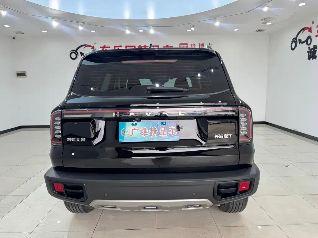 Haval Big Dog 2024 из CN, фото 4