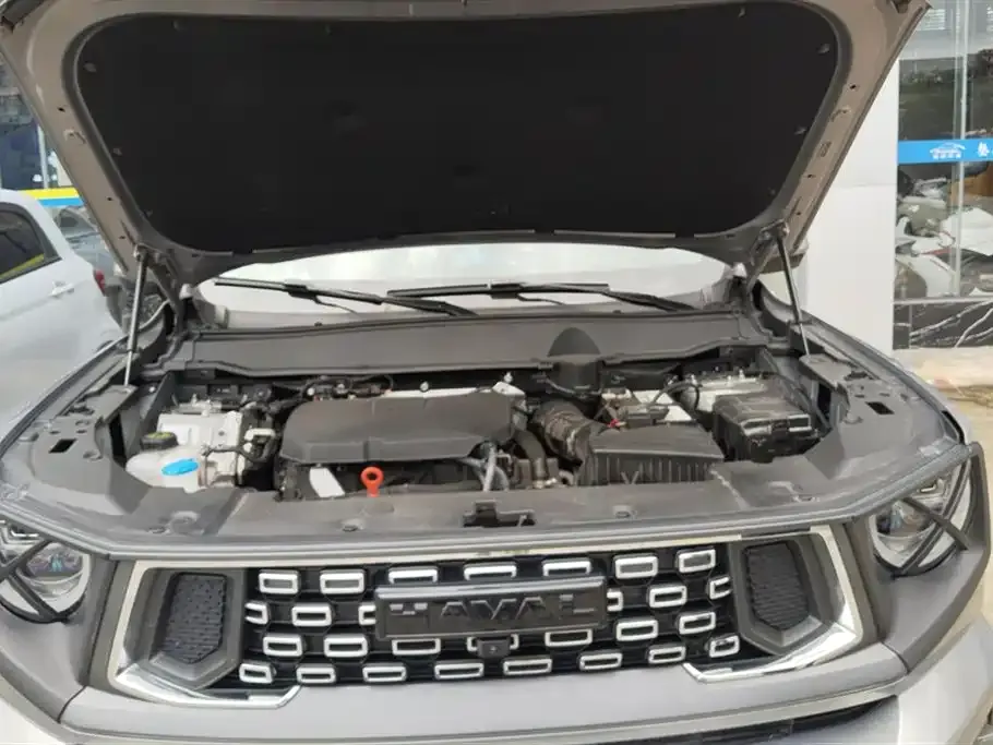 Haval H7 (Big Dog Plus) — фото 10