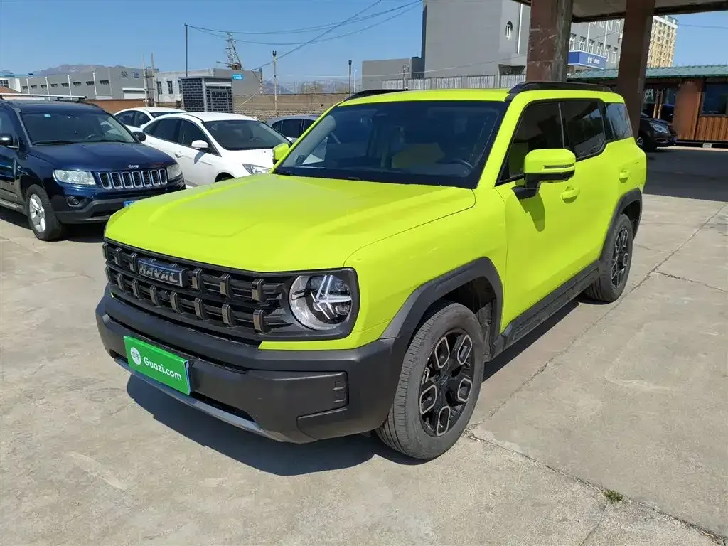 Haval Cool Dog 2023 из CN, фото 6