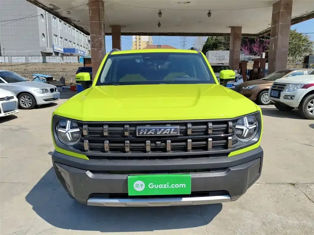 Haval Cool Dog 2023 из CN, фото 8
