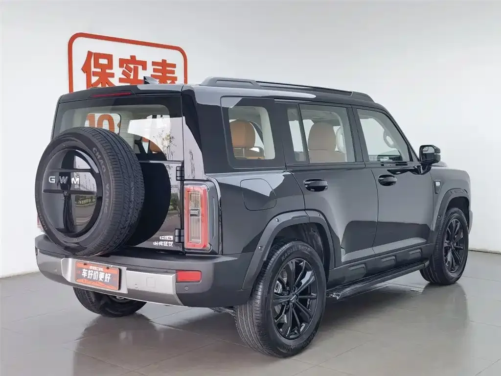 Haval Menglong New Energy — фото 10