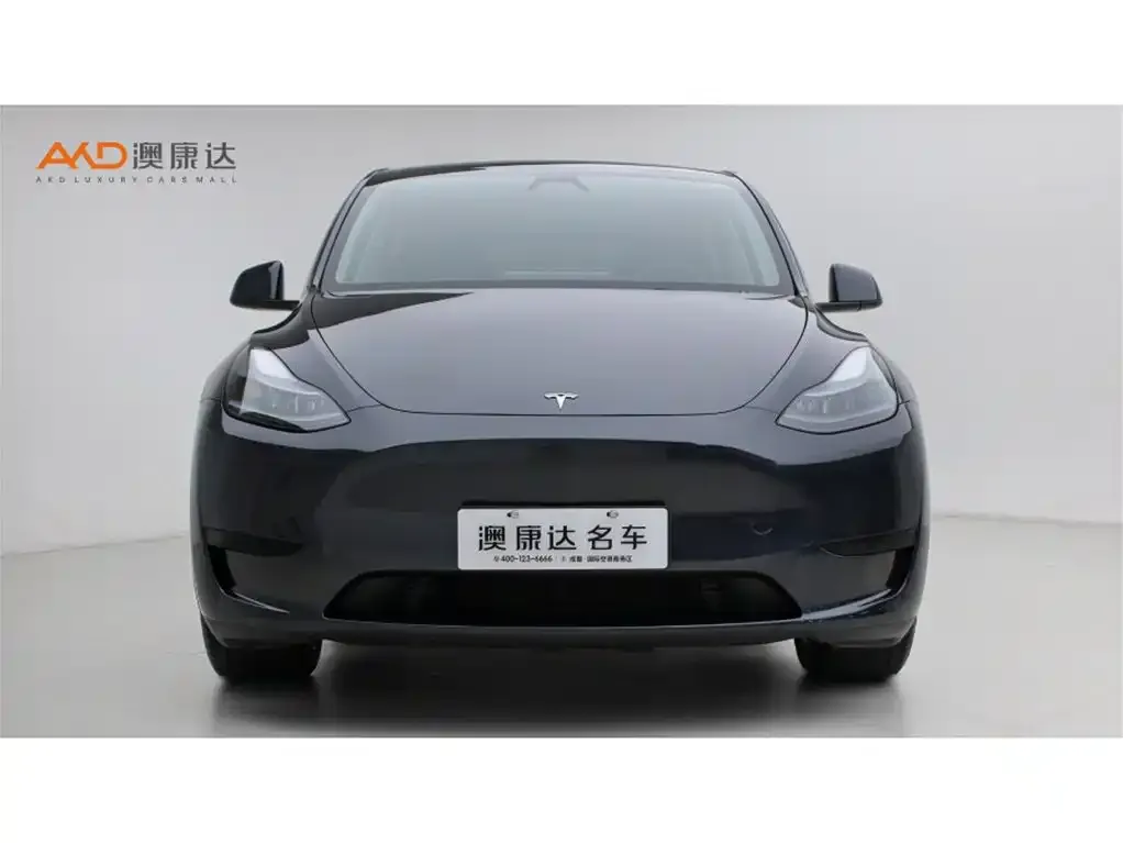 Tesla Model Y — фото 8