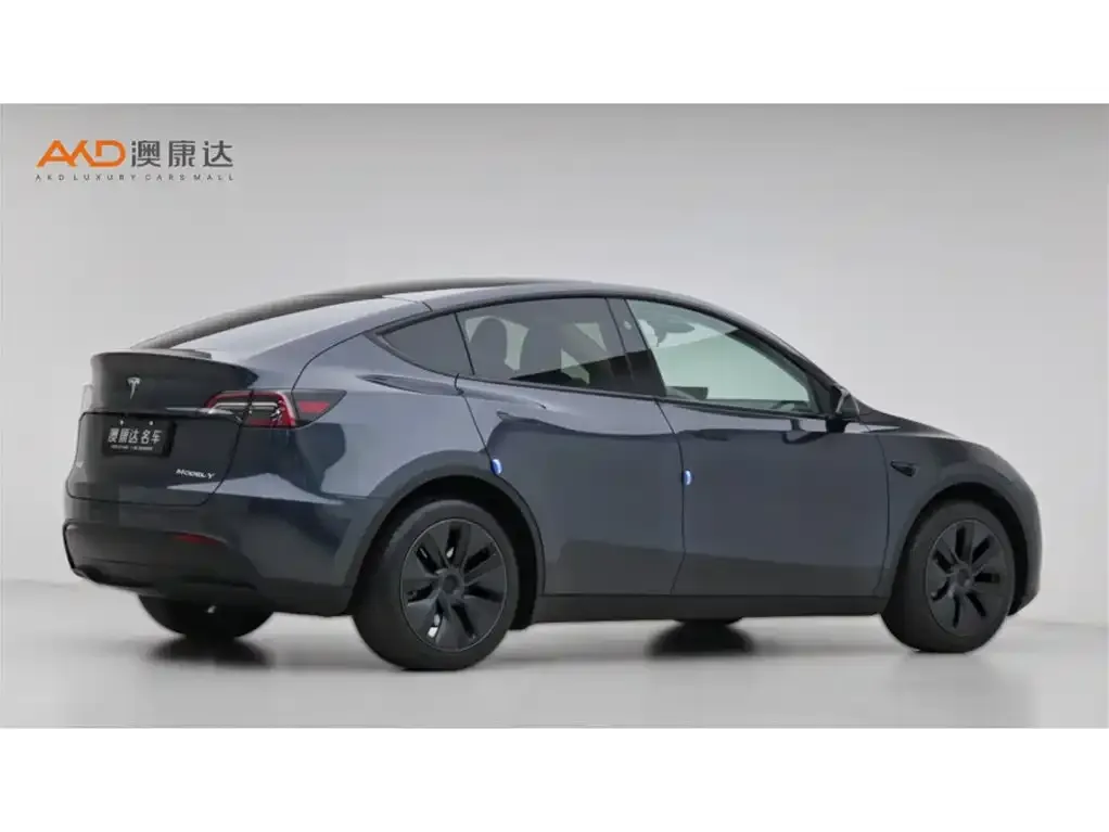Tesla Model Y — фото 6