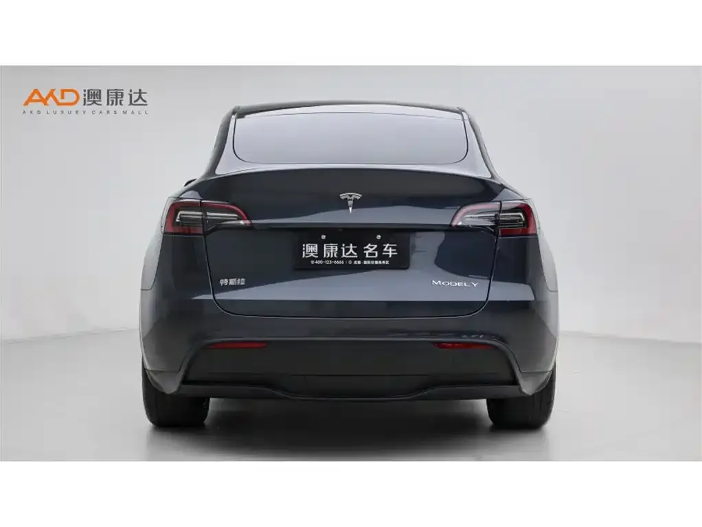 Tesla Model Y — фото 5