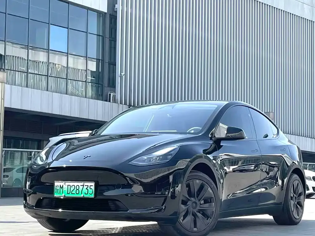 Tesla Model Y — фото 1