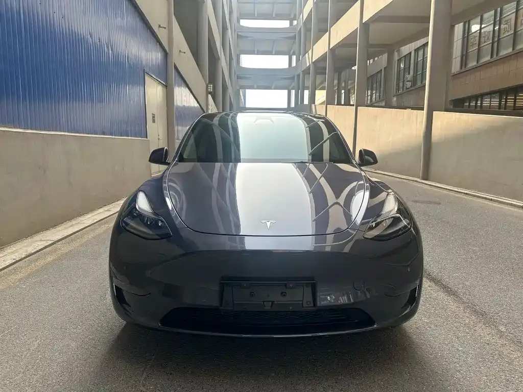 Tesla Model Y — фото 8
