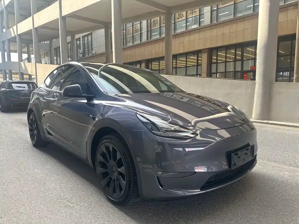 Tesla Model Y — фото 9
