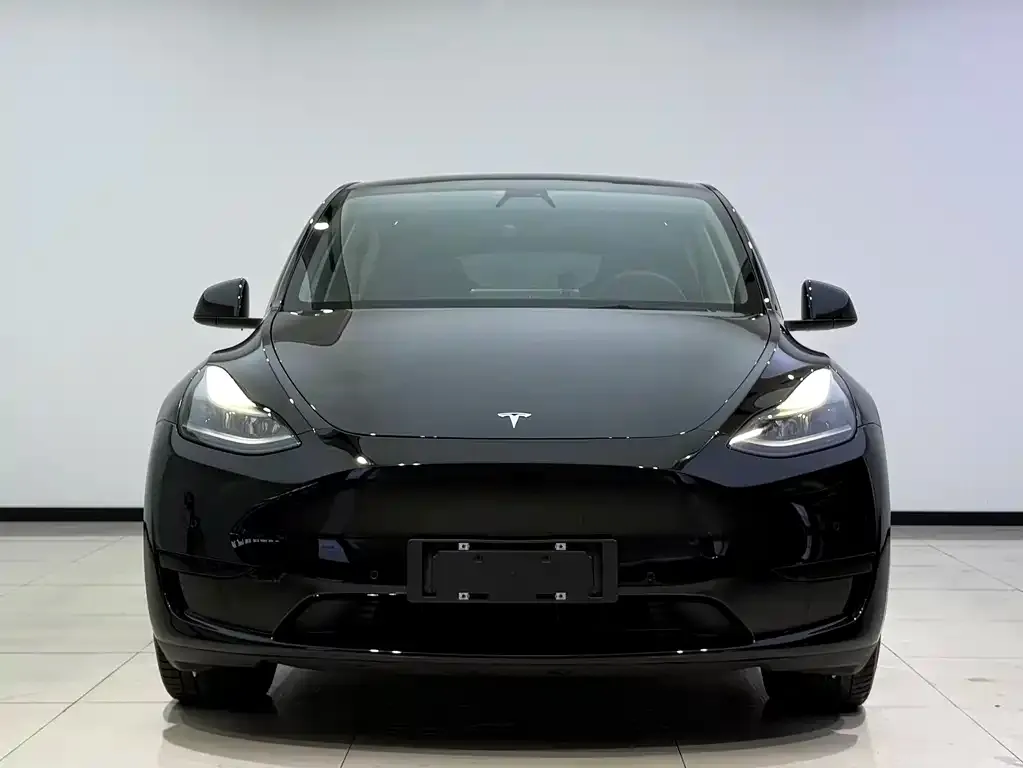 Tesla Model Y — фото 5