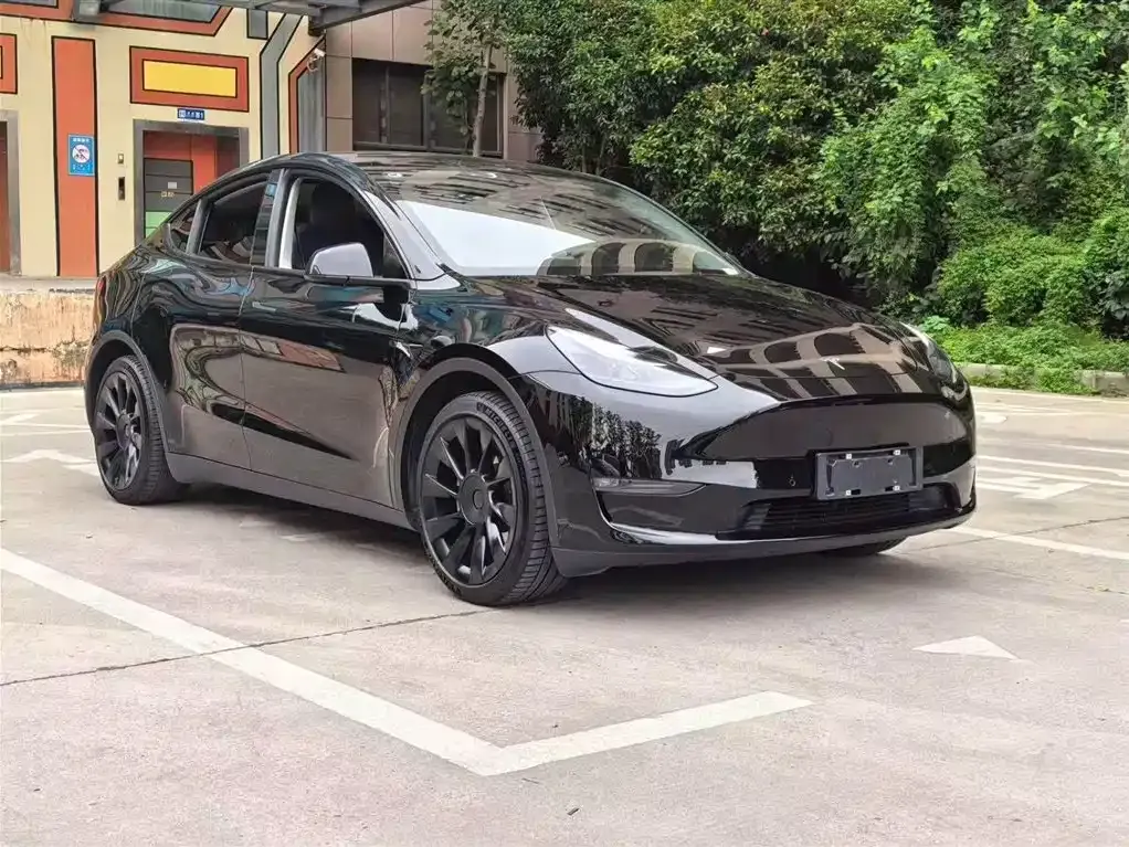 Tesla Model Y — фото 10