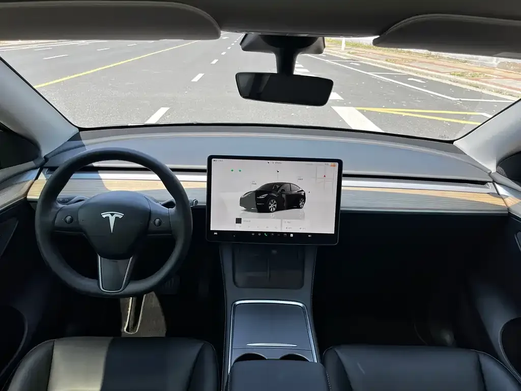Tesla Model Y — фото 10