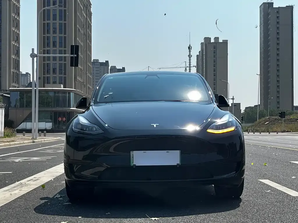 Tesla Model Y — фото 3