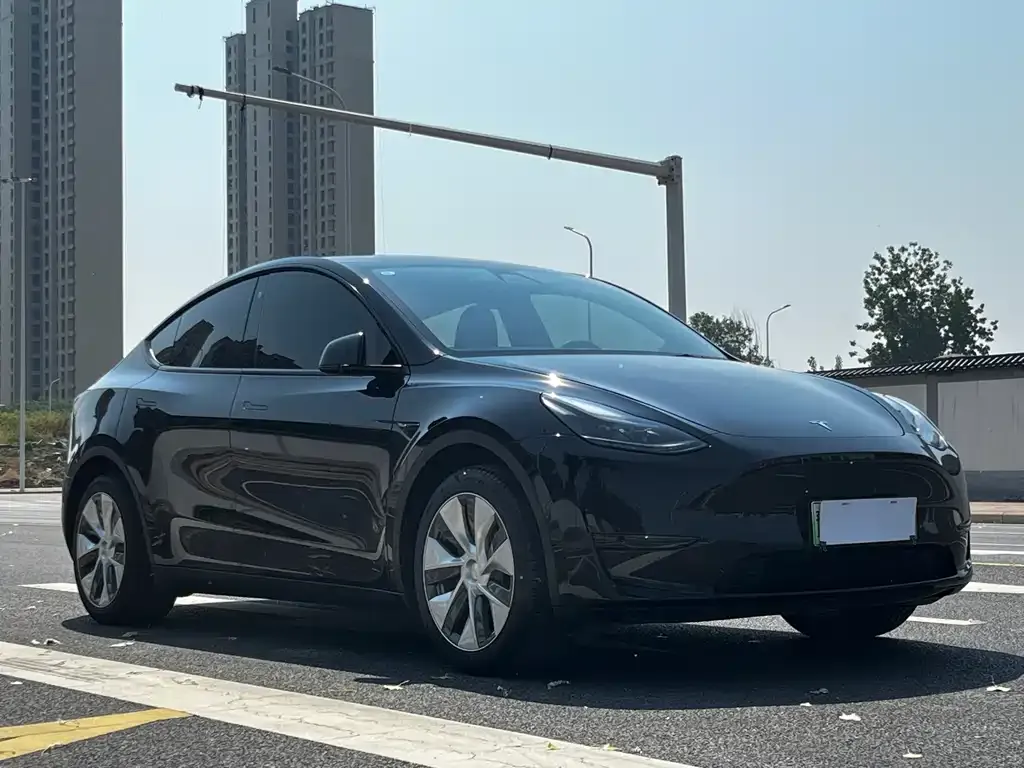 Tesla Model Y — фото 5
