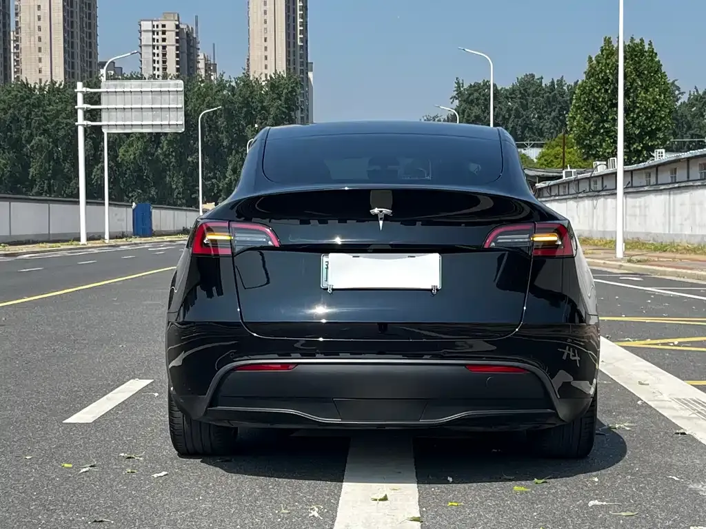 Tesla Model Y — фото 7