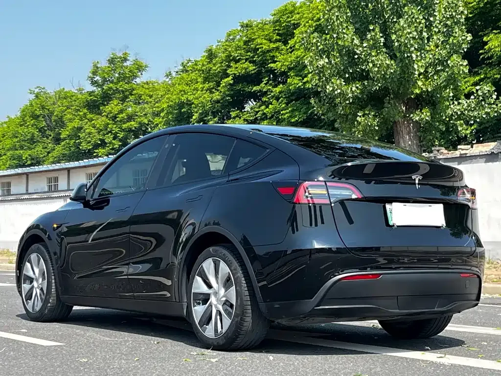 Tesla Model Y — фото 9