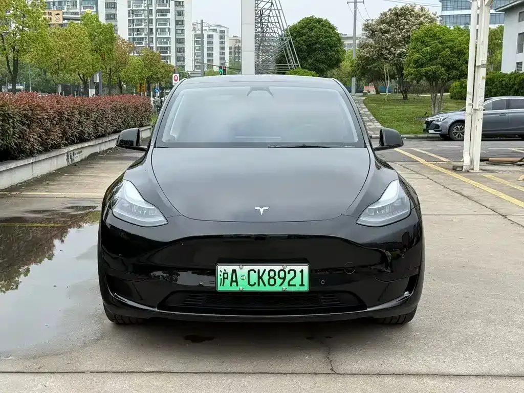Tesla Model Y — фото 7