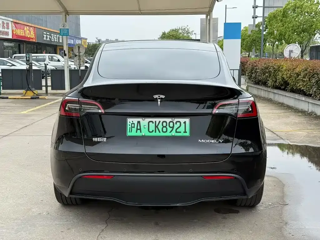 Tesla Model Y — фото 3