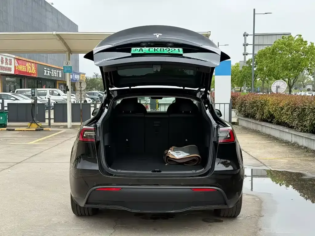Tesla Model Y — фото 6