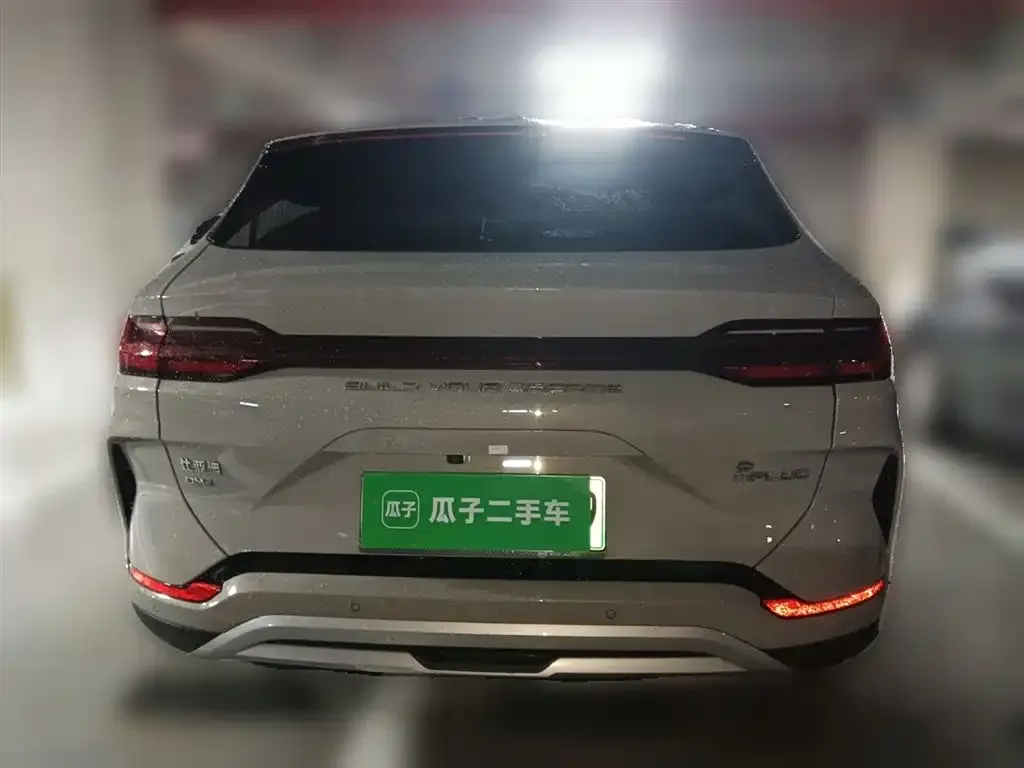 BYD PLUS New Energy — фото 2
