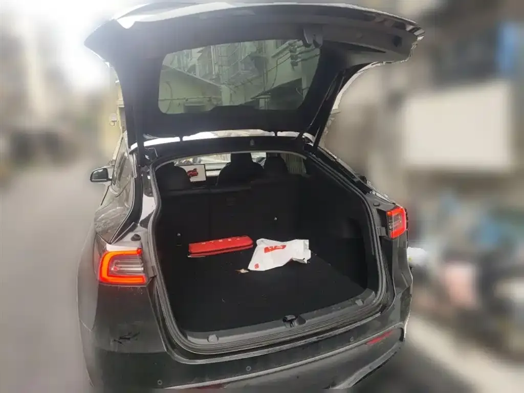Tesla Model Y — фото 2