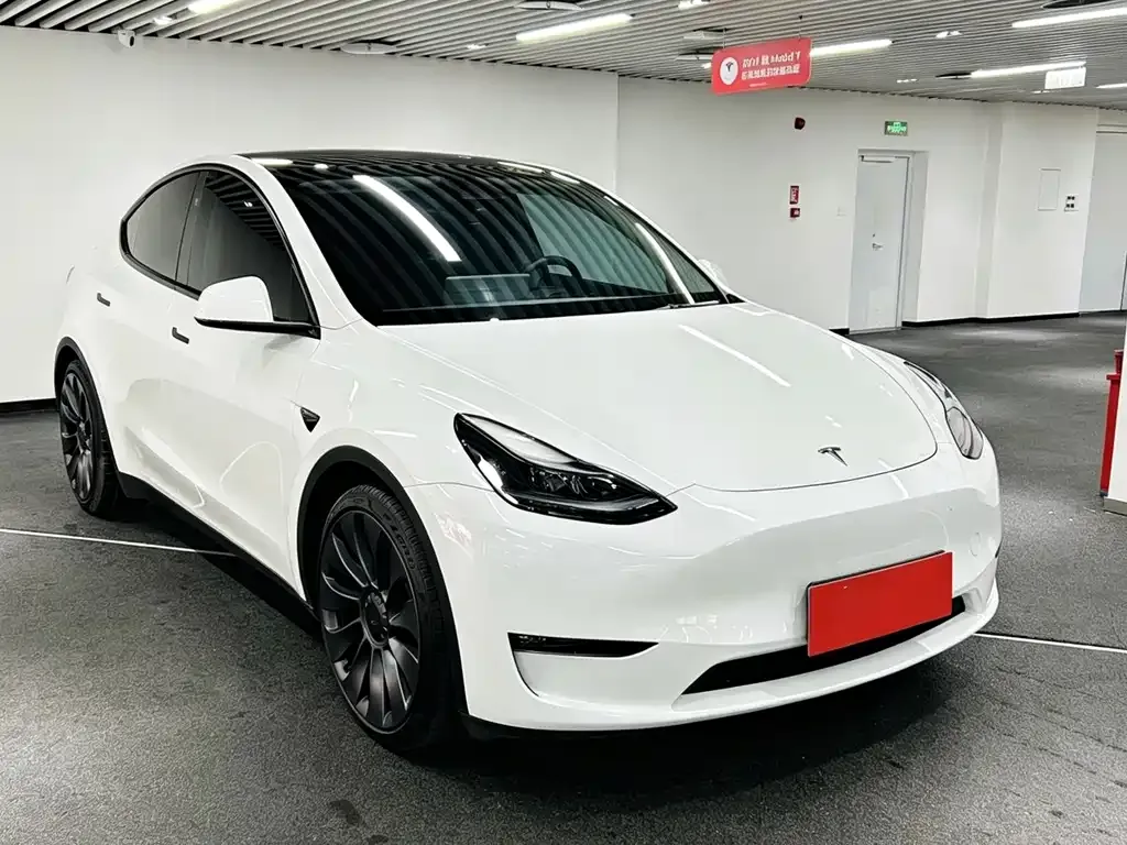 Tesla Model Y — фото 3