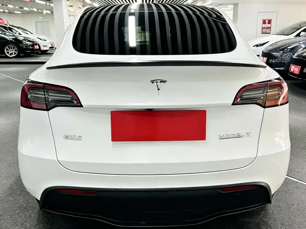 Tesla Model Y — фото 4