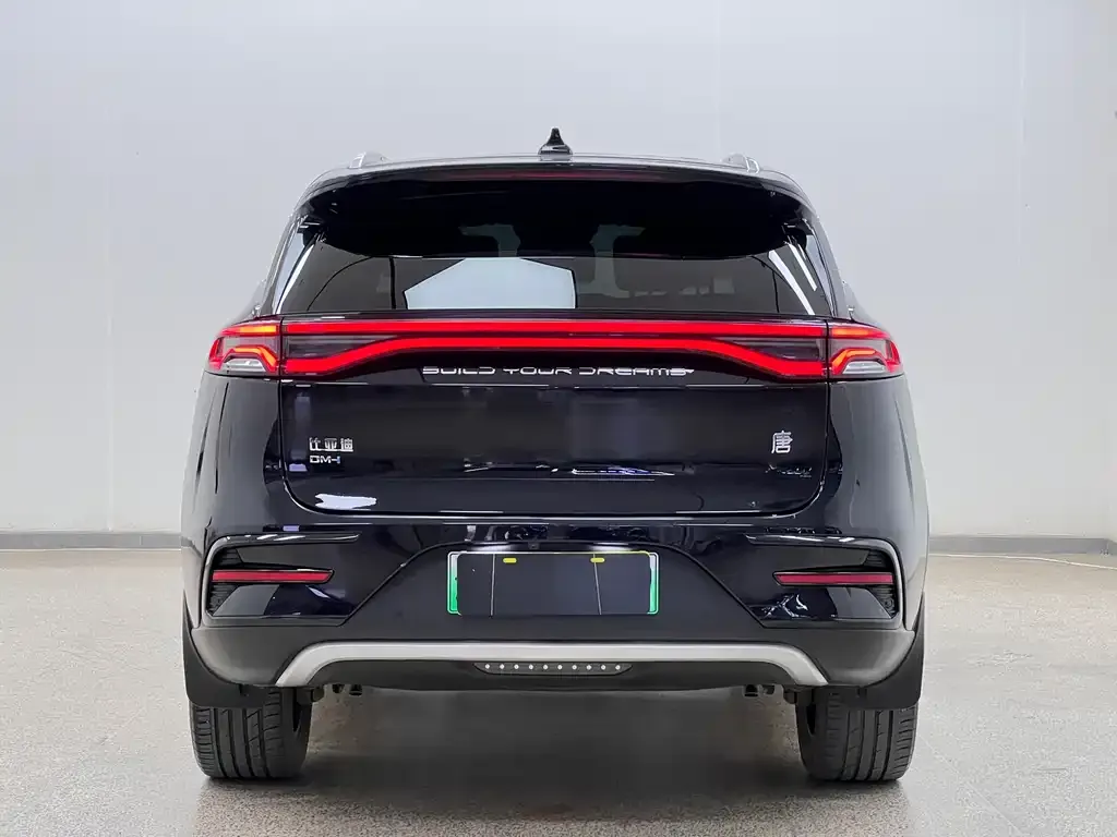 BYD Tang New Energy 2023 из CN, фото 2
