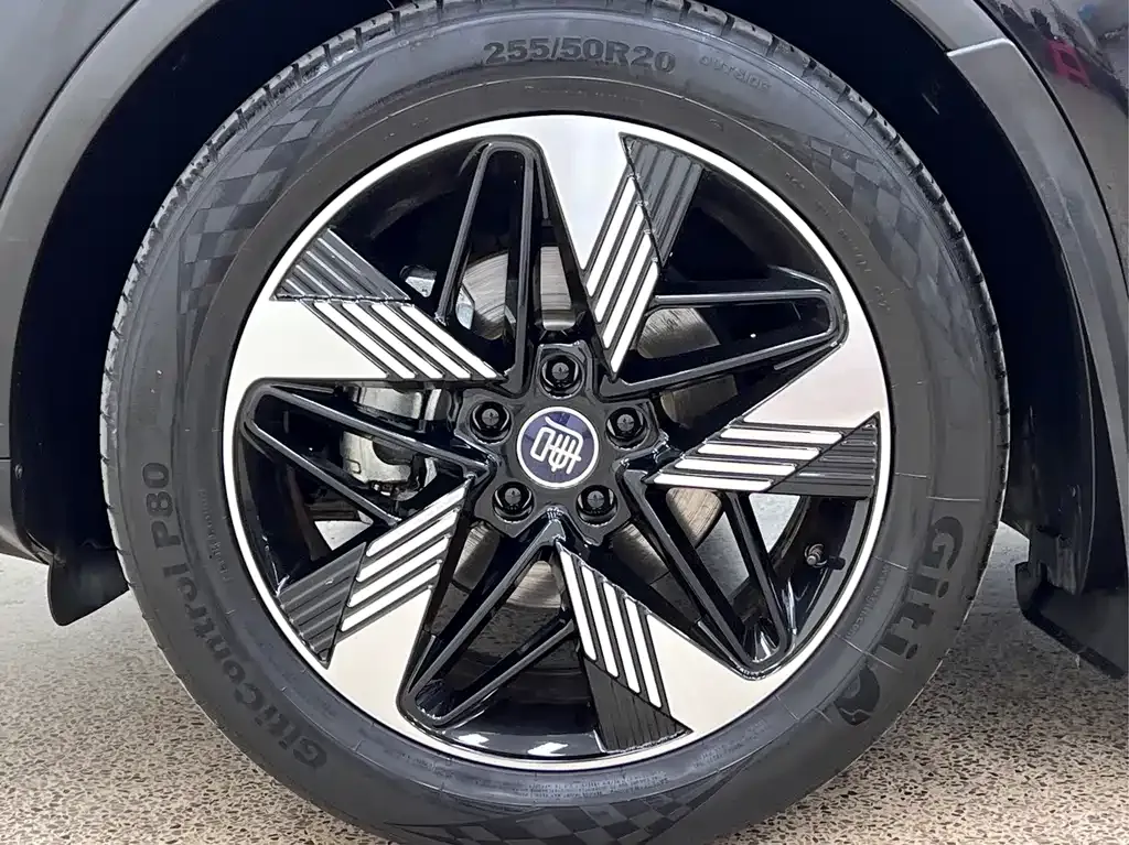 BYD Tang New Energy 2023 из CN, фото 10