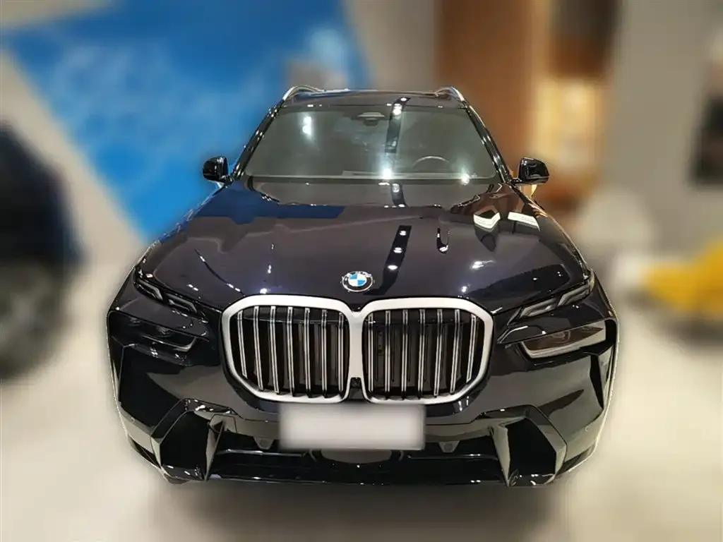 BMW X7 — фото 9