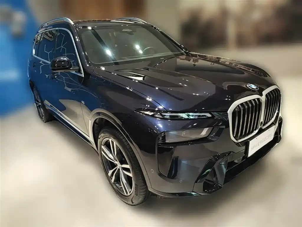 BMW X7 — фото 3