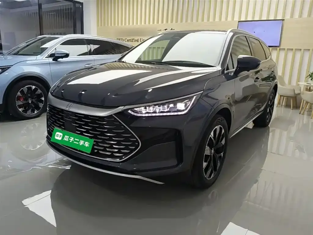 BYD Tang New Energy — фото 1